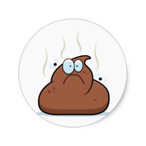poop