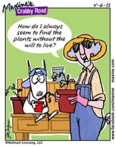 e465d8c863616bcb86ae32db939b6aea