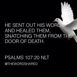 d4c77a23ae75d87212a22a76bdb183a8